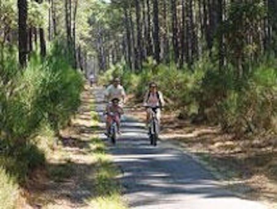 Maison De Vacances 4/5 Personnes A Leon, Landes Екстериор снимка